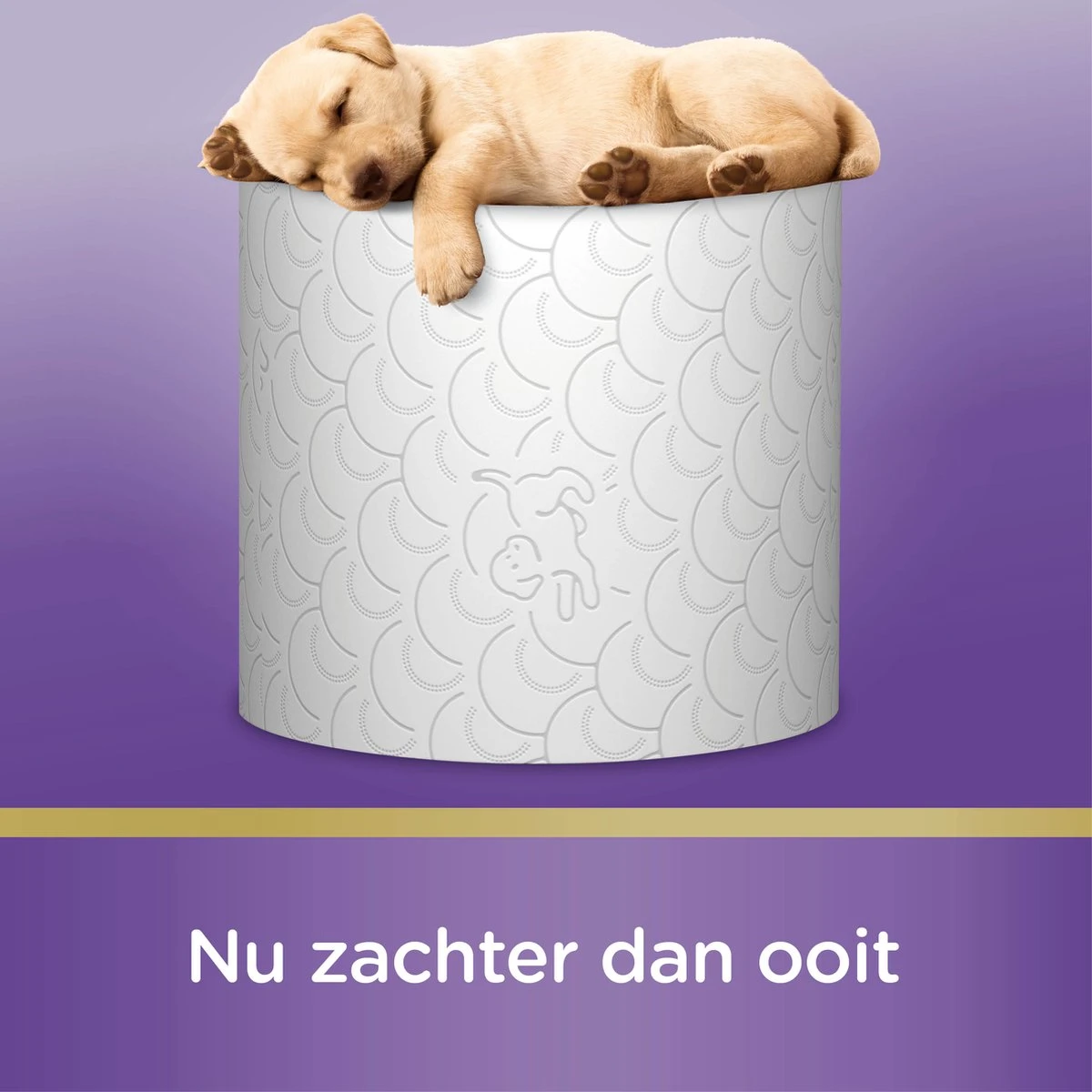 Page Toiletpapier - 63 Rollen - Kussenzacht Wc Papier (3-laags) - Met Extra Zijde - Voordeelverpakking - Afbeelding 8